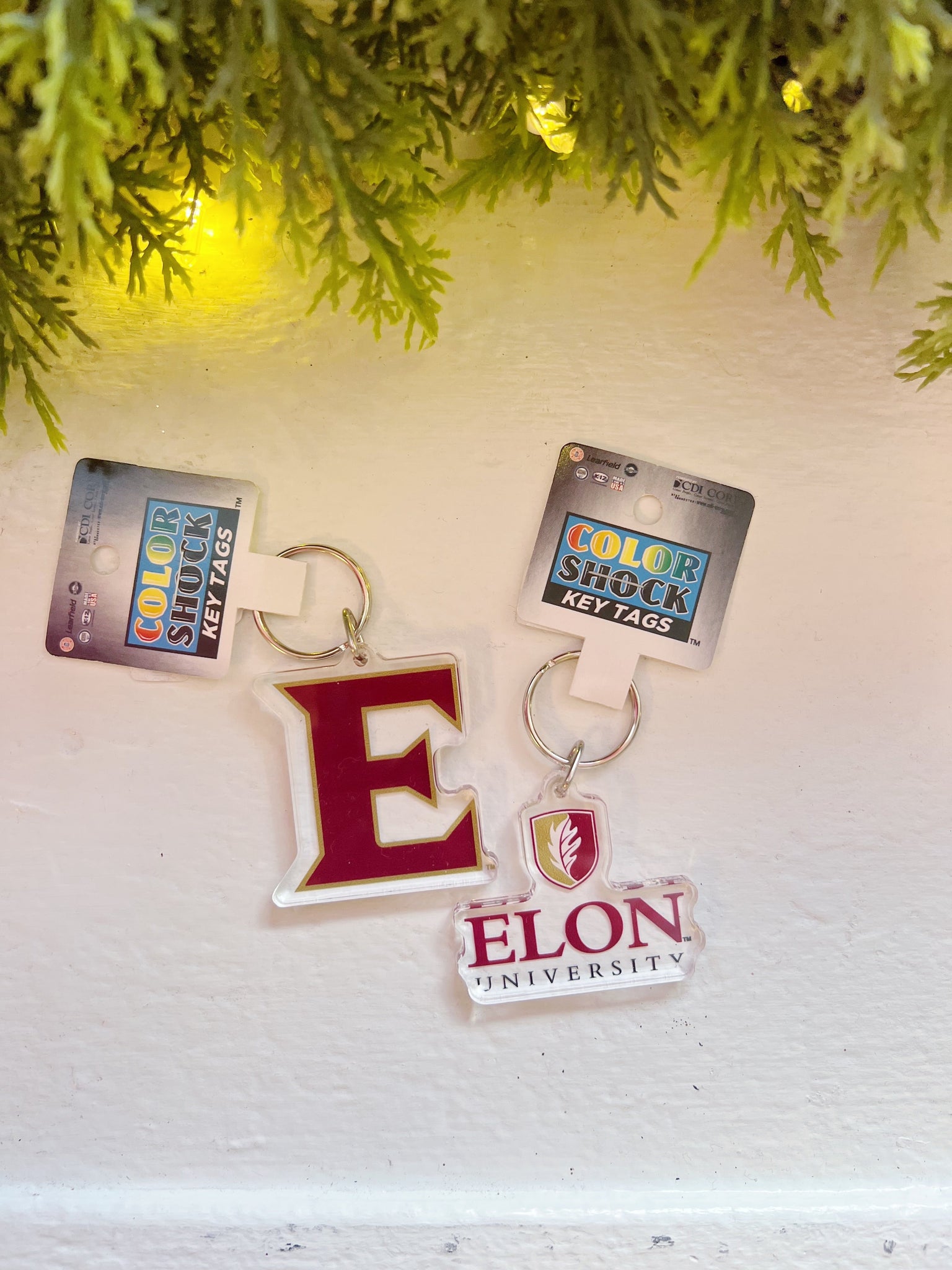 Acrylic Elon Keychains