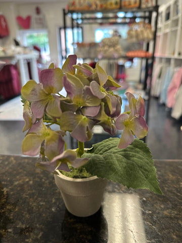 Purple and Green Plant Variant 1