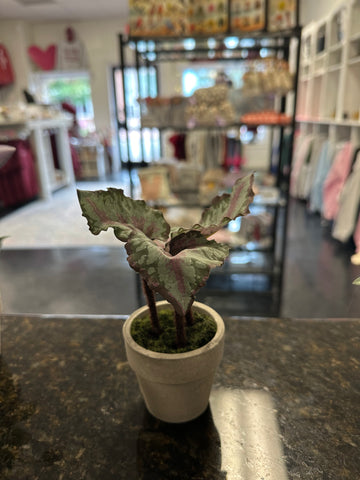 Green and Purple Plant Variant 2